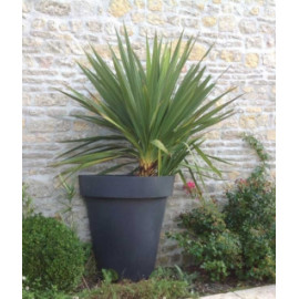 Vue principale Demi pot rond fleurissement Ovalequip